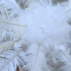 Boule de plumes