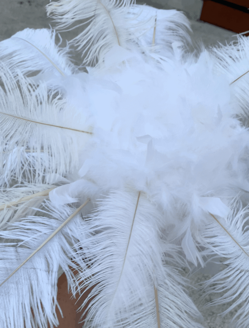 Boule de plumes