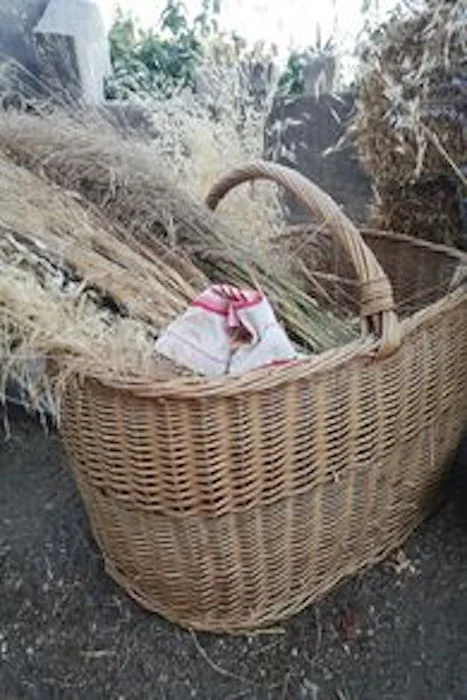 Lot de paniers en osier déco