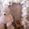 Kit déco ours bapteme boheme