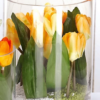 Vase cylindrique transparent xxl